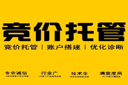 案例研究：关键词竞价排名实战经验